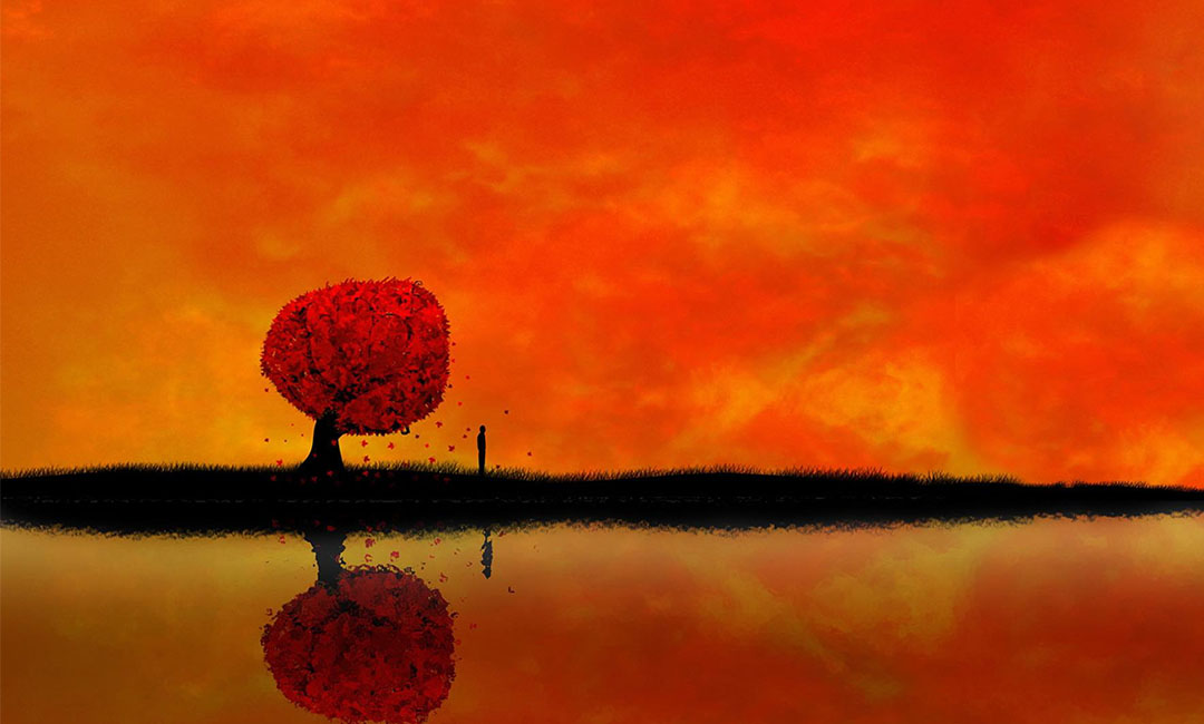 宁河笙影微信朋友圈转发案例